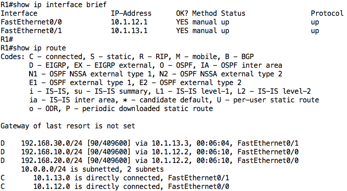 show ip interface