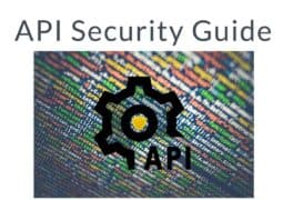 API Security Guide