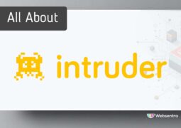 All About Intruder Systems