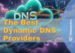 The Best Dynamic DNS Providers