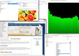 BriskBard Browser Review