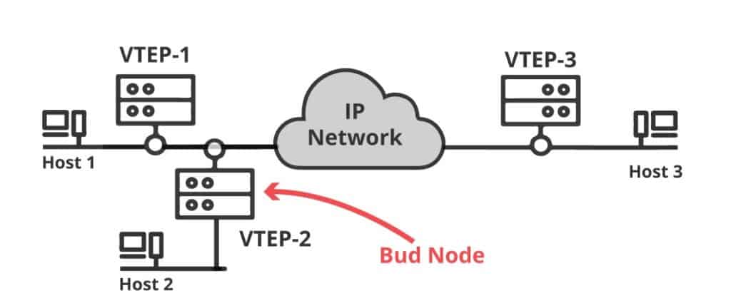Bud Node
