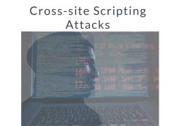 Cross site Scripting Attacks