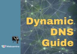 Dynamic DNS Guide