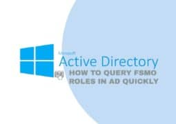 How to Query FSMO Roles in AD Quickly