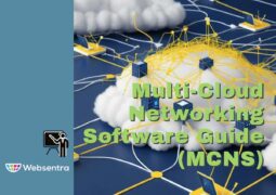 Multi-Cloud Networking Software Guide (MCNS)