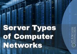 Server Types of Computer Networks