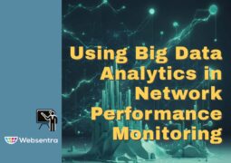 Using Big Data Analytics in Network Performance Monitoring