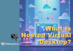 What Is Hosted Virtual Desktop?