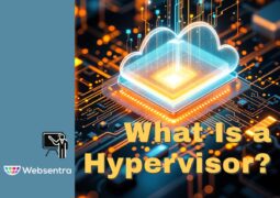 What is a Hypervisor?