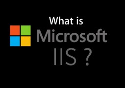 What is IIS? Microsoft Web Server