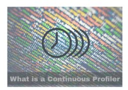 What is a Continuous Profiler