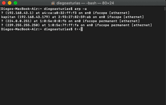 arp command