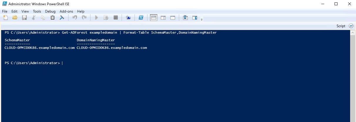 display fsmo roles in table format