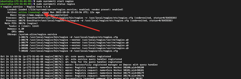 Start the Nagios service and test it