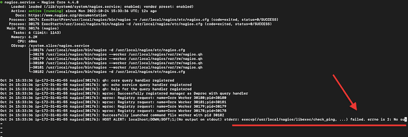 error on the output of the ‘sudo systemctl status'