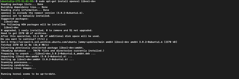 Nagios Core requirements