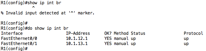 invalid input detected showip cmd