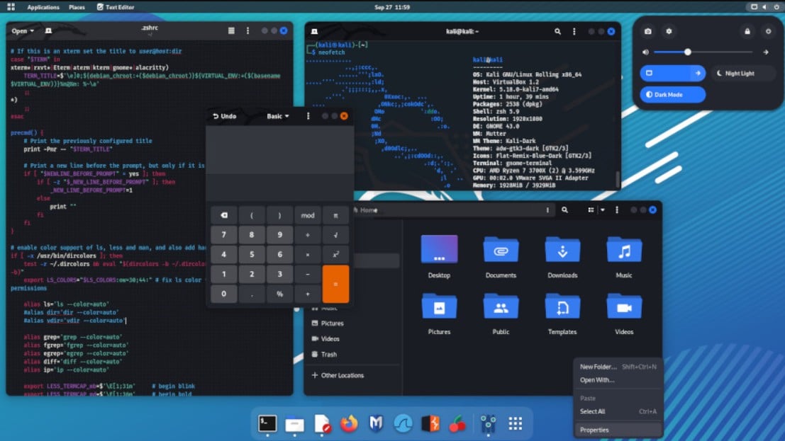 kali linux penetration testing