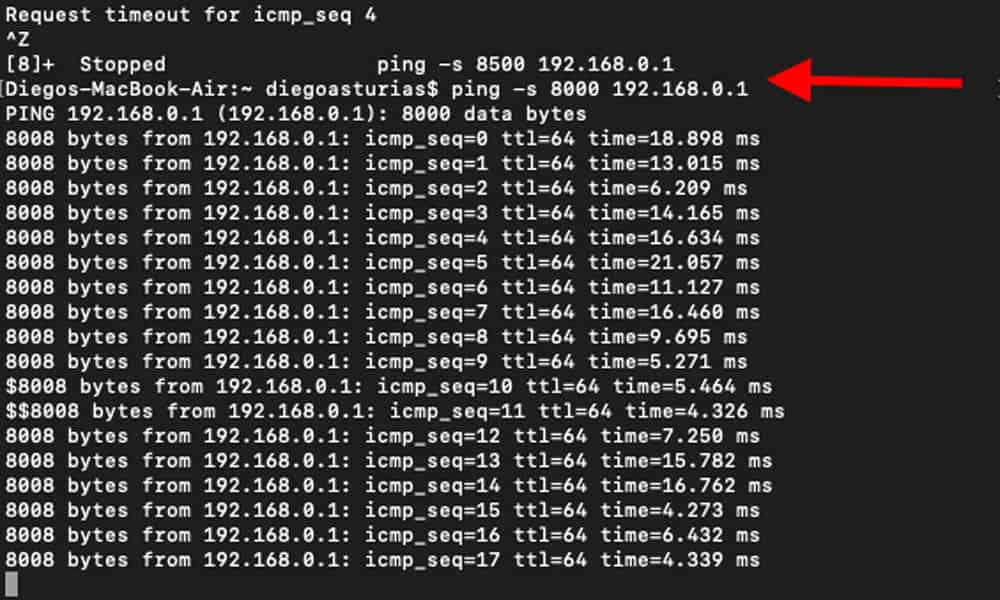 ping command