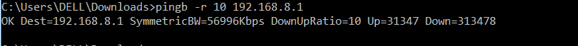 pingb 1500 bytes