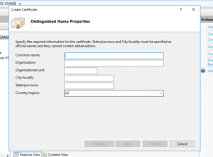 Installing a secure FTP server on Windows using IIS