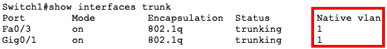 show trunk interfaces